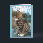 Tabby Cat Cute Striped Cats Birthday Card<br><div class="desc">Tabby Cat Cute Striped Cats Birthday Card. Designed from one of my original photographs,  a must for all cat lovers!.</div>