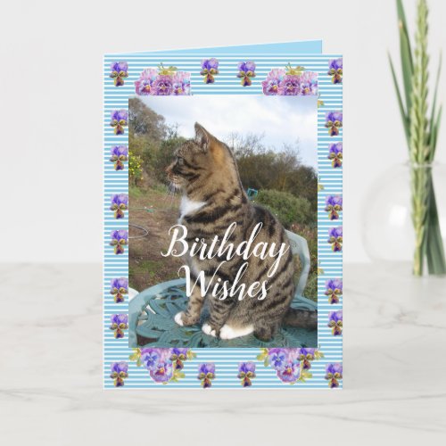 Tabby Cat Cute Striped Cats floral Birthday Card