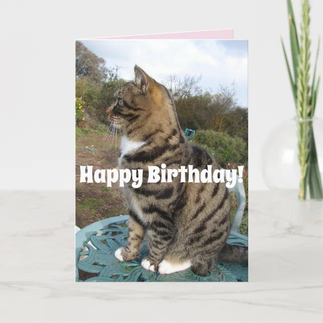 Tabby Cat Cute Striped Cats Happy Birthday Card | Zazzle