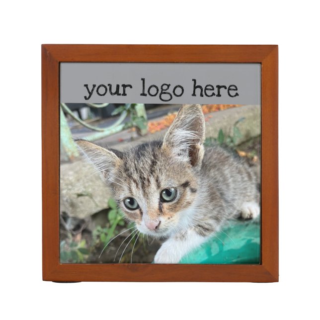 Tabby cat desk organizer (Front)