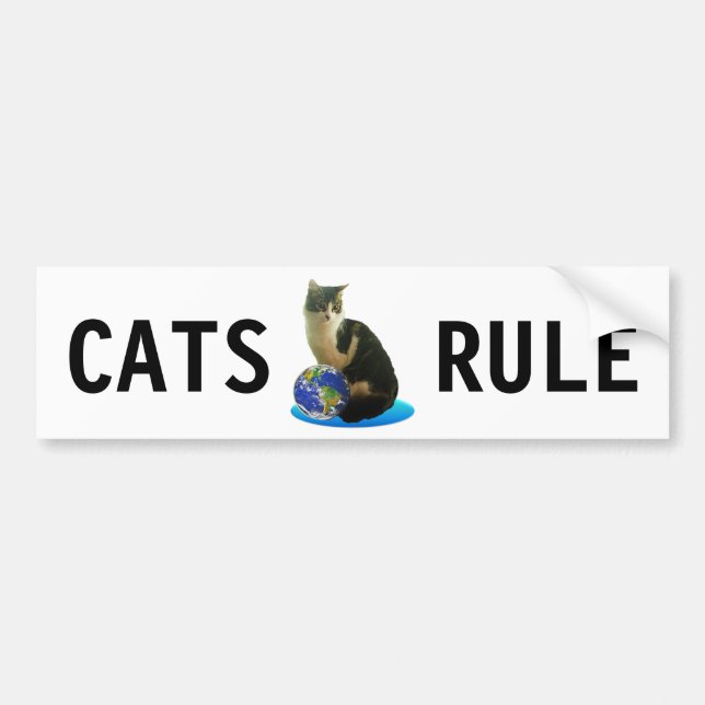 Tabby Cat & Earth Globe Bumper Sticker (Front)
