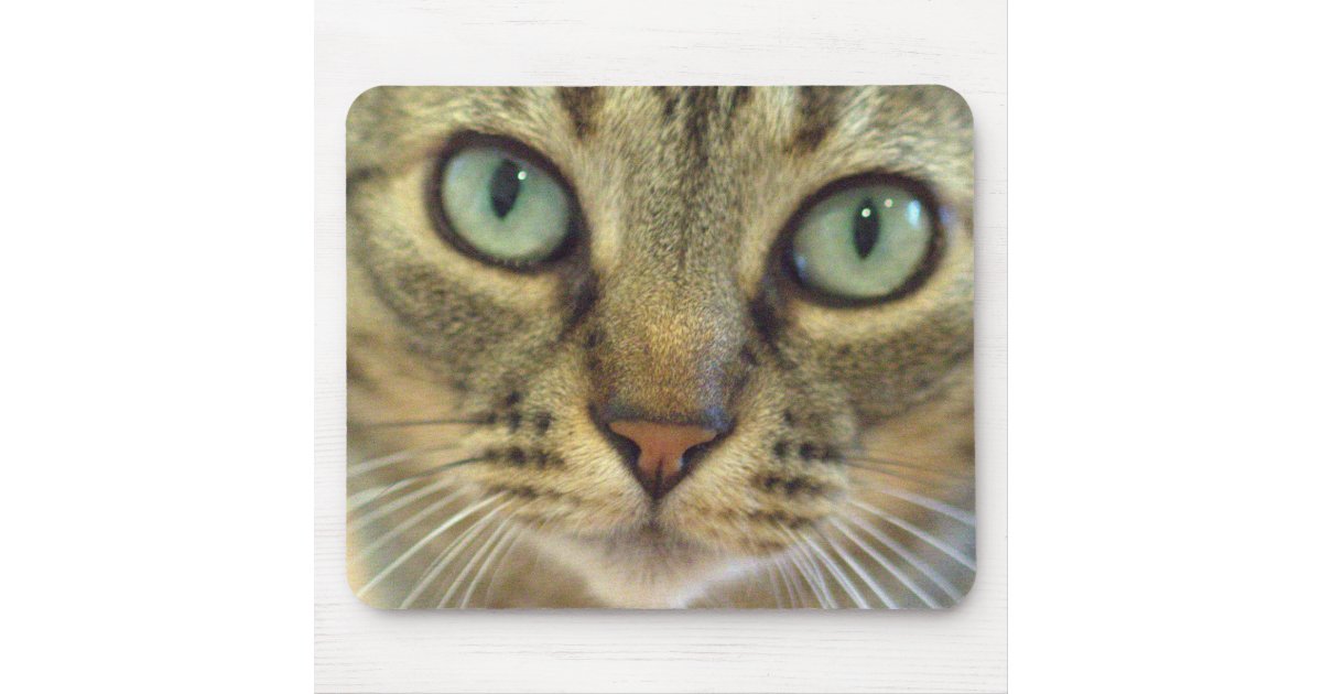 Tabby Cat Face Close Up Mouse Pad Zazzle Com