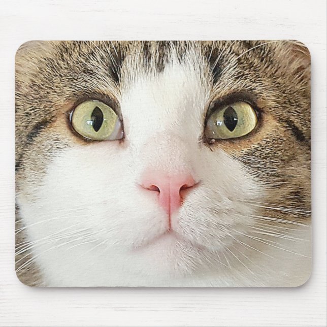 tabby cat face mouse pad (Front)