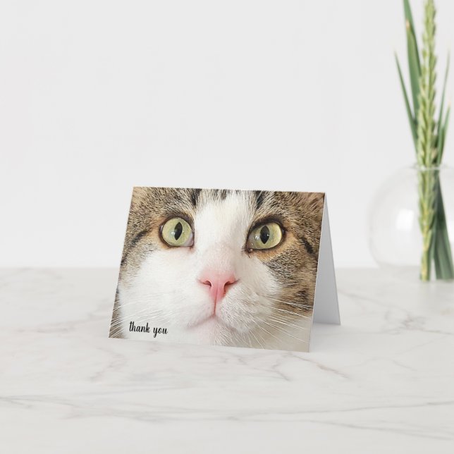 tabby cat face thank you card (Front)