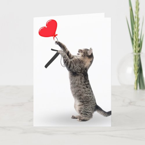 Tabby Cat for 7th Birthday Card