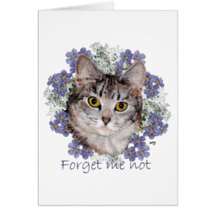 Tabby Cat Forget Me Not Cards