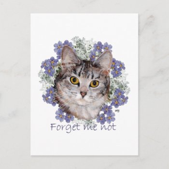 Tabby Cat Forget Me Not Postcard by MaggieRossCats at Zazzle