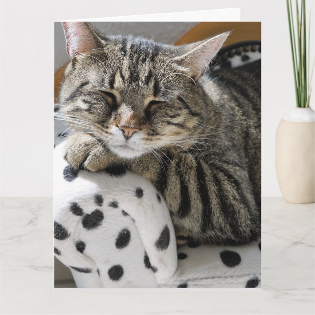 TABBY CAT FUNNY CUTE BIRTHDAY CARD (Front)