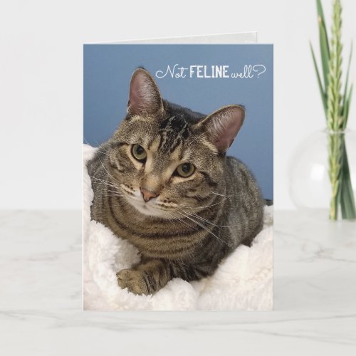 Tabby Cat Get Well Soon Card