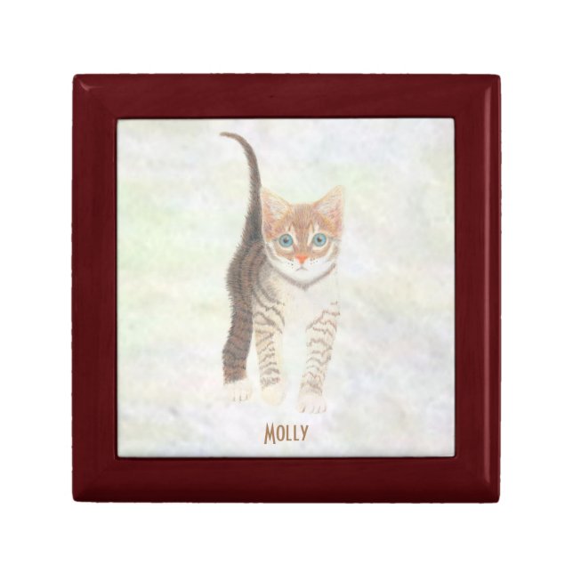 Tabby Cat Gift Box (Front)