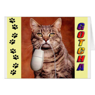 Tabby Cat Gotcha Cards