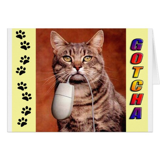 Tabby Cat Gotcha Cards (Front Horizontal)