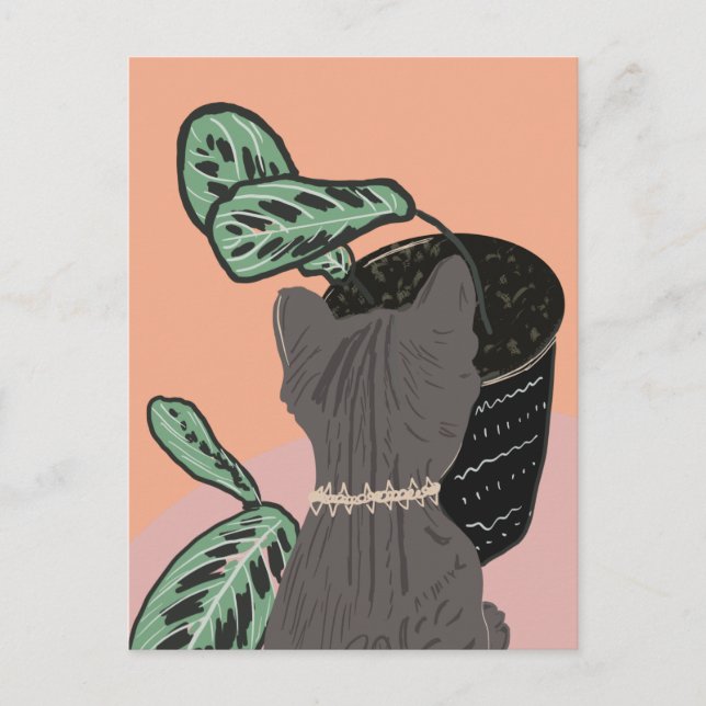 Tabby Cat Gray Plants Thank You  Postcard (Front)