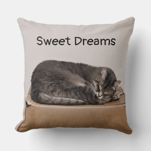 Tabby Cat Gray Sleeping On Box Throw Pillow