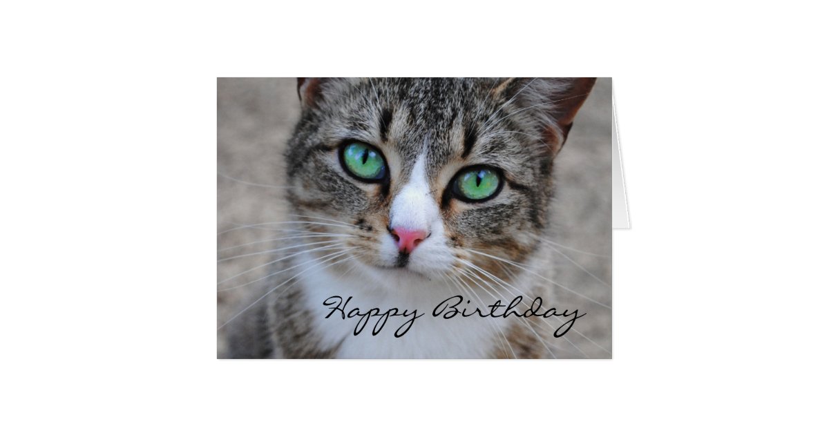 Tabby Cat Happy Birthday Card | Zazzle