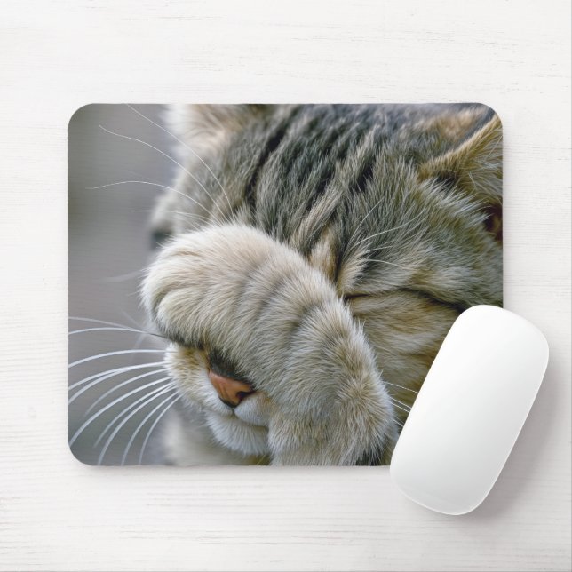 Tabby Cat Humor Mouse Pad (With Mouse)