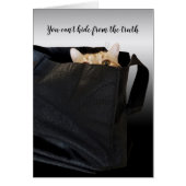tabby cat in black bag (Front)