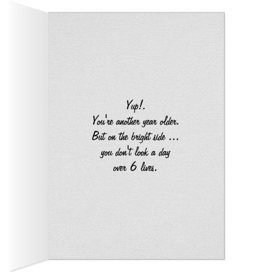 tabby cat in black bag (Inside (Right))