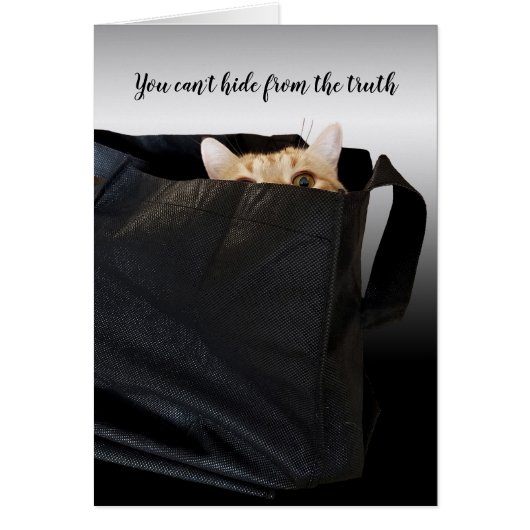 tabby cat in black bag cards (Front)