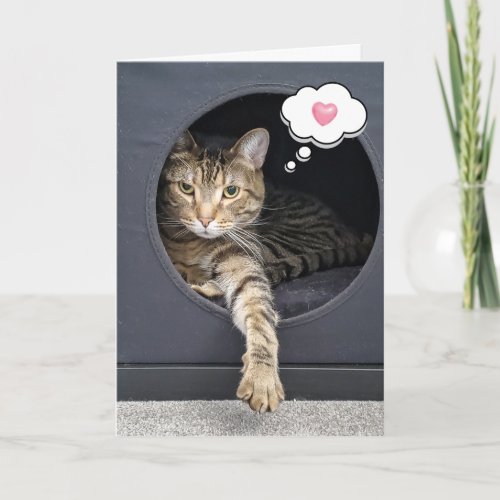 Tabby Cat In Box For Thinking of You Card