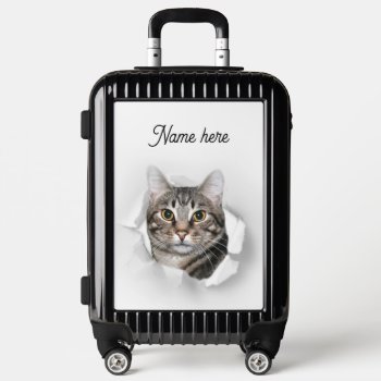 Tabby Cat In Luggage by deemac1 at Zazzle