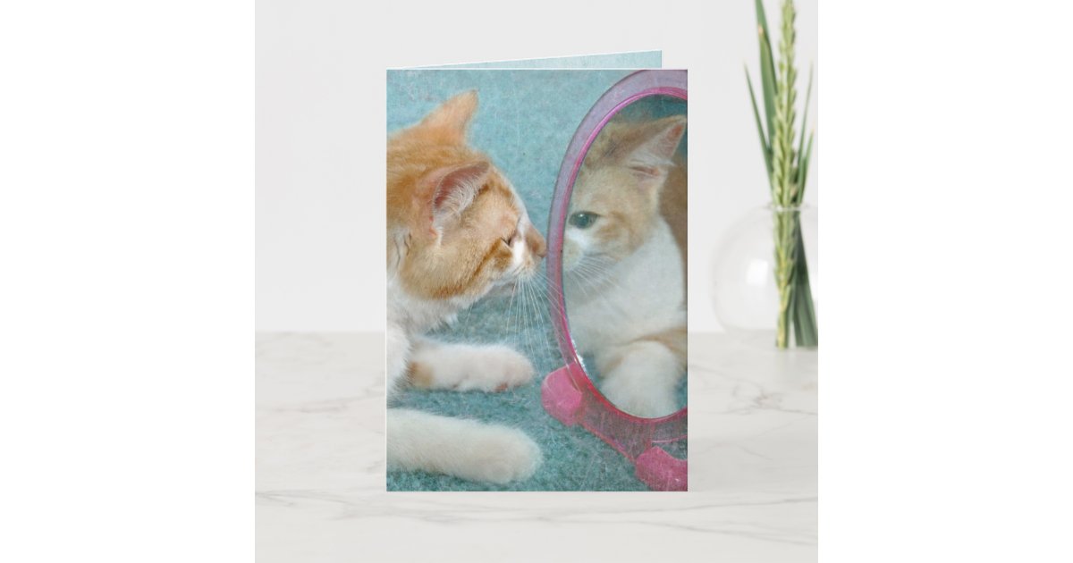 Tabby Cat In Mirror Get Well Soon Card Zazzle Com