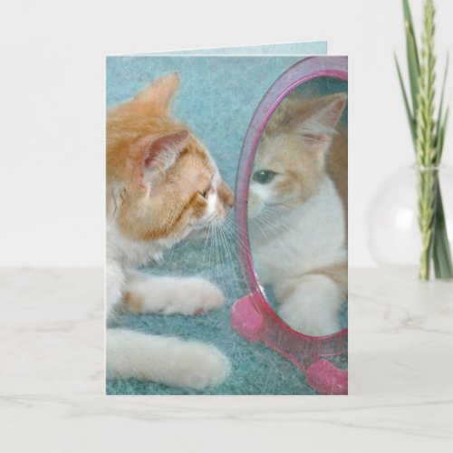 tabby cat in mirror get well soon card