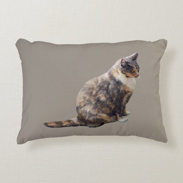 Tabby Cat in Shades of Brown Accent Pillow (Front)
