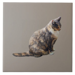 Tabby Cat in Shades of Brown Ceramic Tile