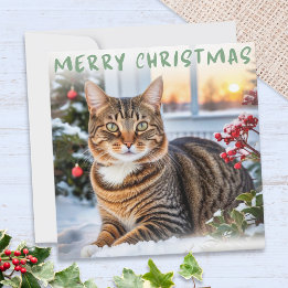Tabby Cat In Snow Elegant Merry Christmas Holiday Card