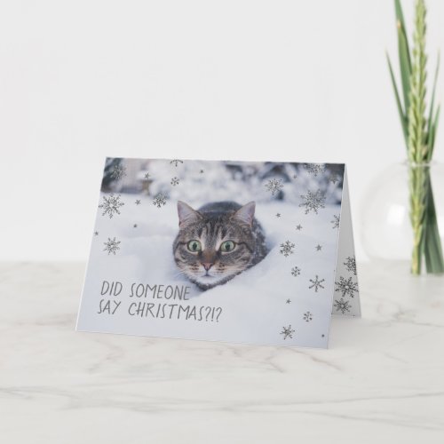 Tabby Cat in White Snow Snowflakes Holiday Card