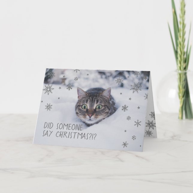 Tabby Cat in White Snow Snowflakes Holiday Card (Front)
