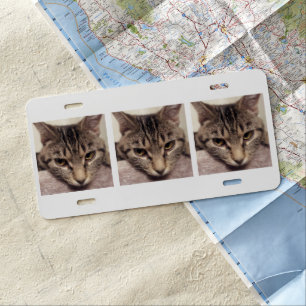 Tabby Cat-Instagram by Shirley Taylor License Plate
