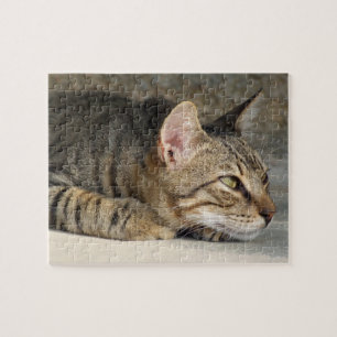 Tabby Cat Jigsaw Jigsaw Puzzle
