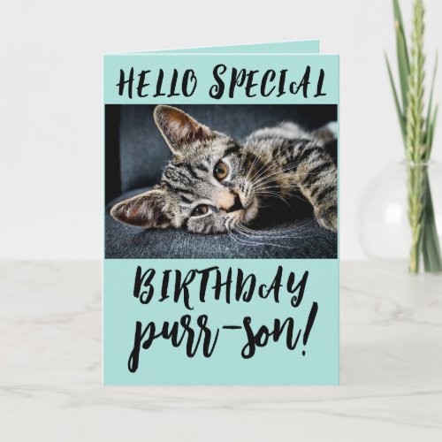 TABBY CAT KITTEN BIRTHDAY GREETING CARDS