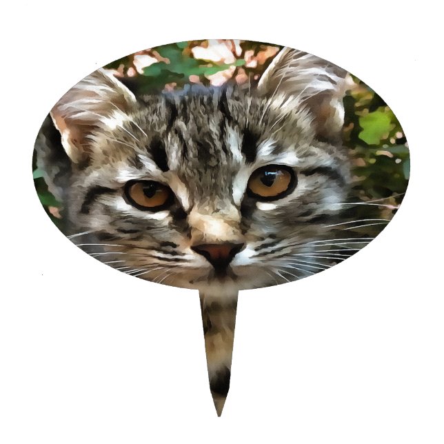 Tabby Cat Kitten Making Eye Contact Cake Topper (Front)