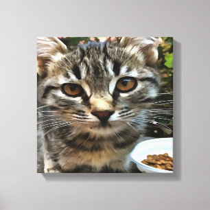 Tabby Cat Kitten Making Eye Contact Canvas Print