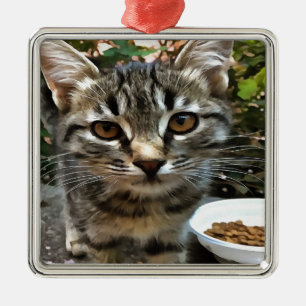 Tabby Cat Kitten Making Eye Contact Metal Ornament
