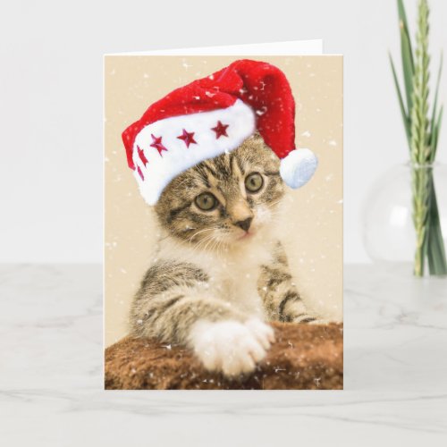 TABBY CAT KITTEN MEOWY CHRISTMAS CARD