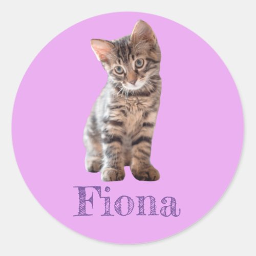 Tabby Cat Kitten Personalized Lavender Classic Round Sticker
