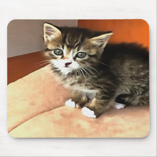 Tabby Cat Kitten Pet Portrait Mouse Pad