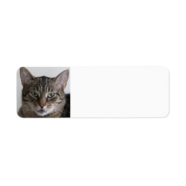 Tabby cat label (Front)
