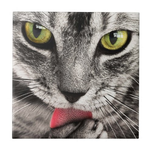 Tabby Cat Licking Paw Ceramic Tile