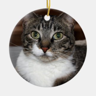 Tabby Cat Ornaments & Keepsake Ornaments | Zazzle