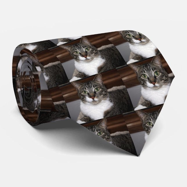 Tabby Cat Looking at You Neck Tie (Rolled)