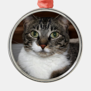 Tabby Cat Looking at You Photo Metal Ornament