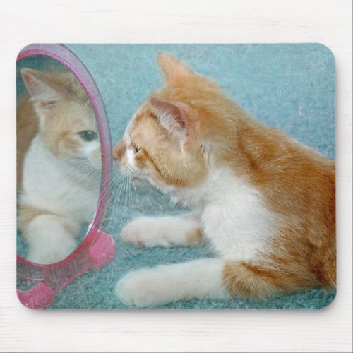 Tabby cat looking in mirror mouse pad