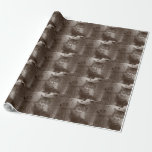 Tabby Cat Lounging Outside, Grunge Wrapping Paper