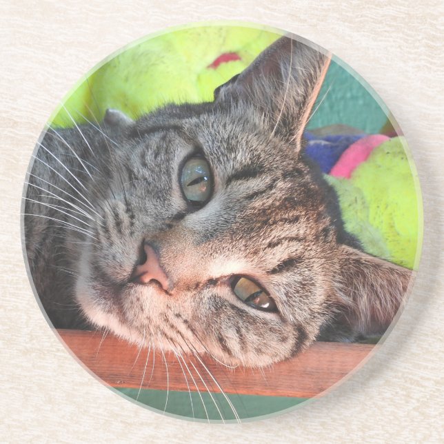 Tabby Cat Love Drink Coaster (Front)
