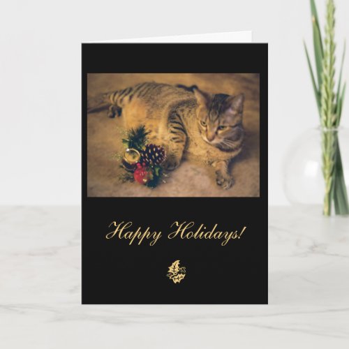 Tabby cat Merry Christmas Holiday Card